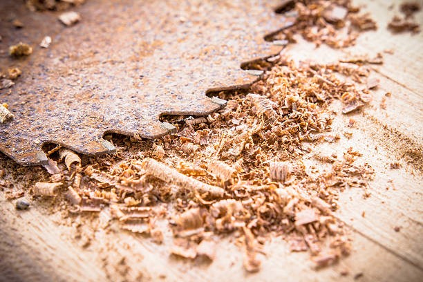 Wood Craftsmanship